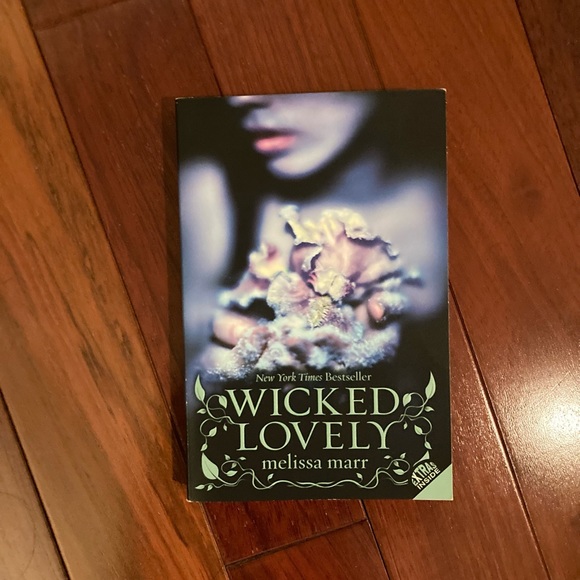 TEEN FICTION/YOUNG ADULT BOOKS - Picture 6 of 9